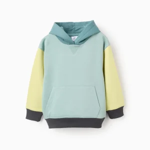 Sudadera Multicolor Capucha Zippy